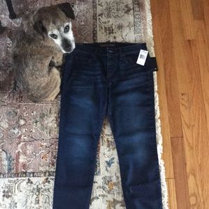New With Tag: Joe’s Jeans Skinny Ankle Sz 29